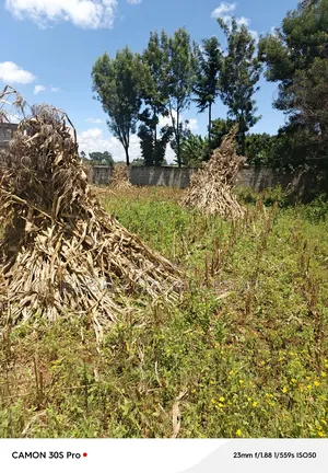 1/4 Plot Plus 1/8 Kiplombe Eldoret With Title.