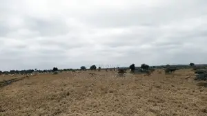 10 Acres for Sale in Isinya