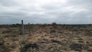 10 Acres for Sale in Isinya - thumbnail 2
