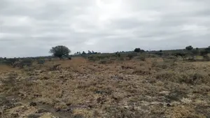 10 Acres for Sale in Isinya