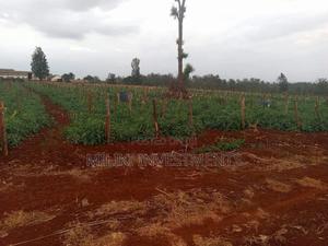 30 Acres on Sale at Maragua - thumbnail 2