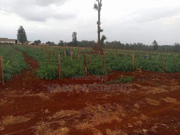 30 Acres on Sale at Maragua - main view