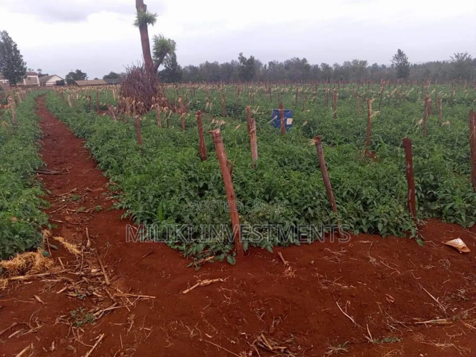 30 Acres on Sale at Maragua