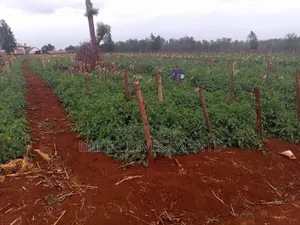 30 Acres on Sale at Maragua