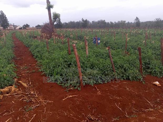 30 Acres on Sale at Maragua - thumbnail 3