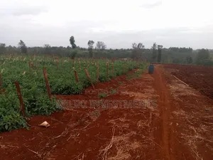 30 Acres on Sale at Maragua