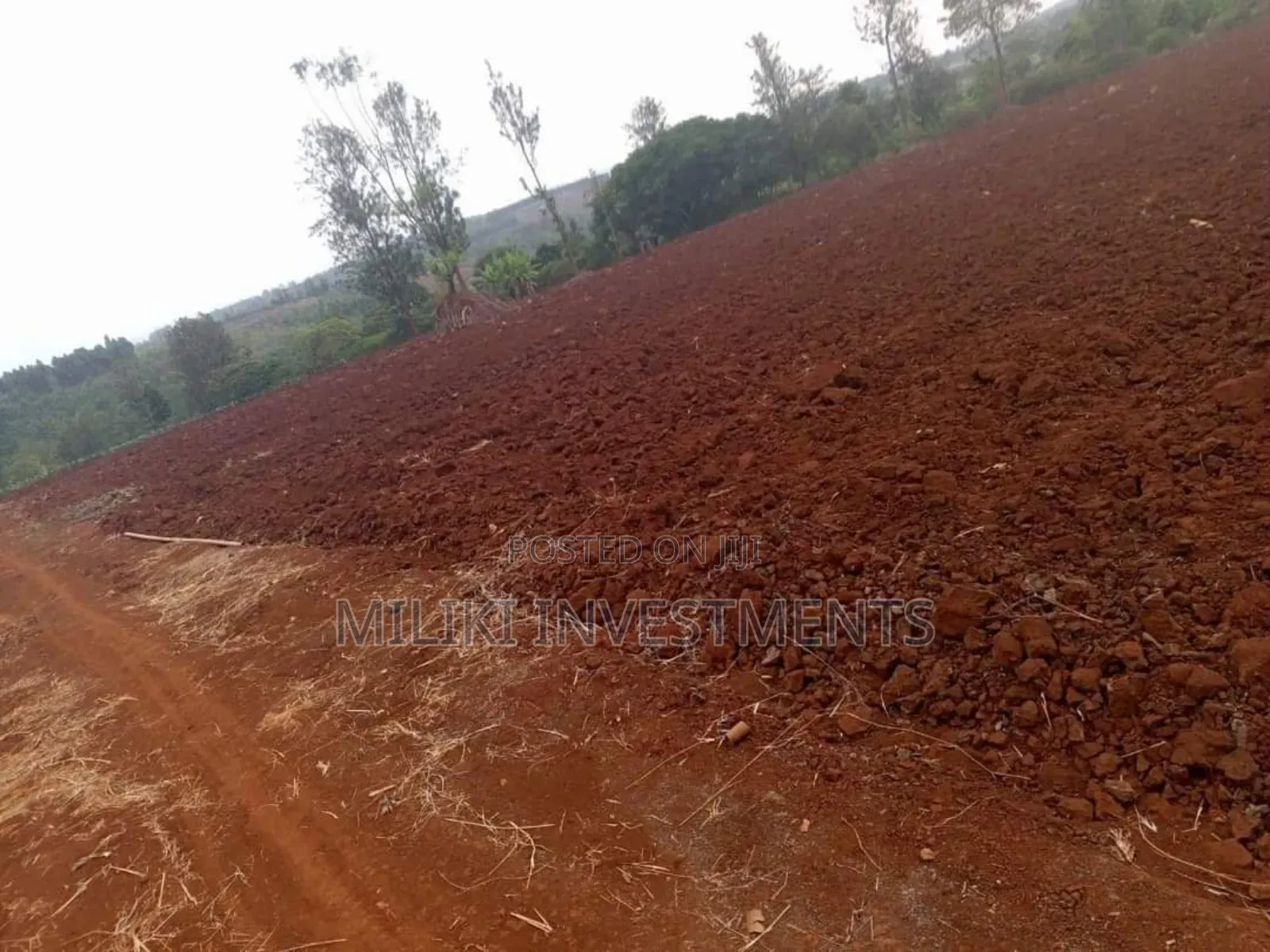 30 Acres on Sale at Maragua in Kamahuha Land & Plots for Sale, Maina