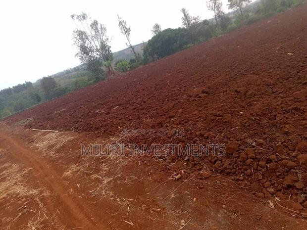 30 Acres on Sale at Maragua - thumbnail 5