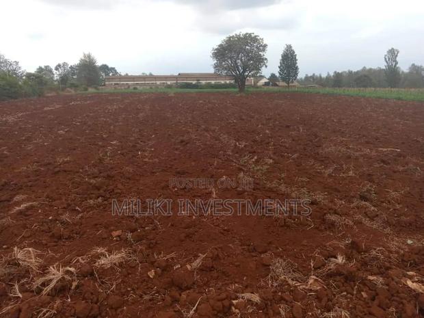 30 Acres on Sale at Maragua - thumbnail 7