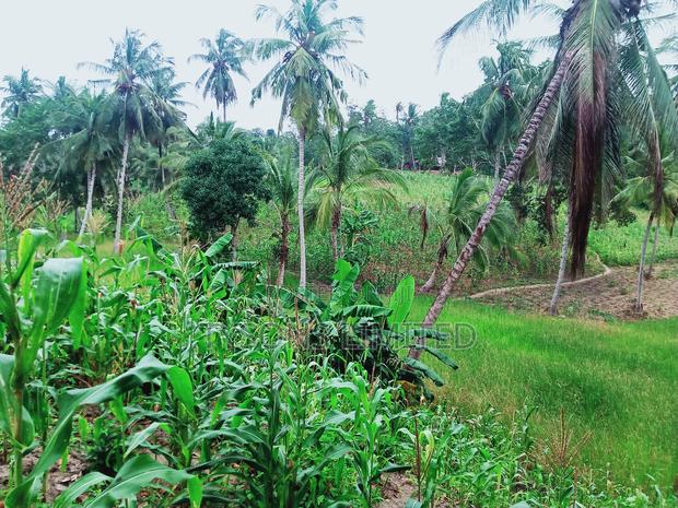 Land for Sale in Kilifi - Bomani - main view