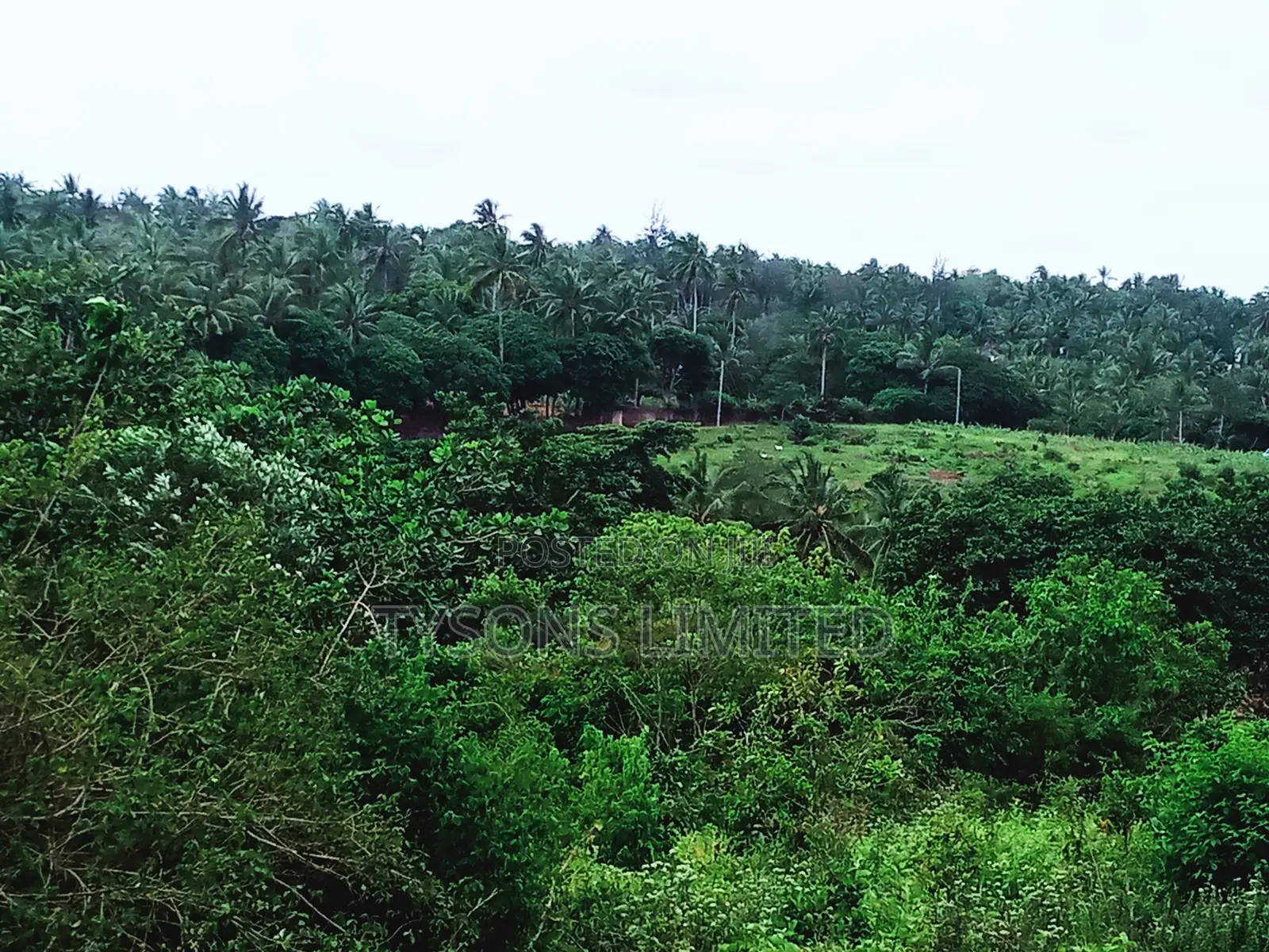 Land for Sale in Kilifi - Bomani