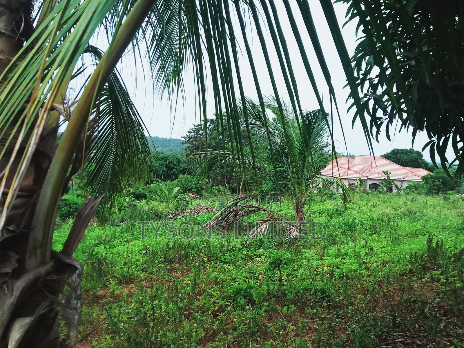 Land for Sale in Kilifi - Bomani