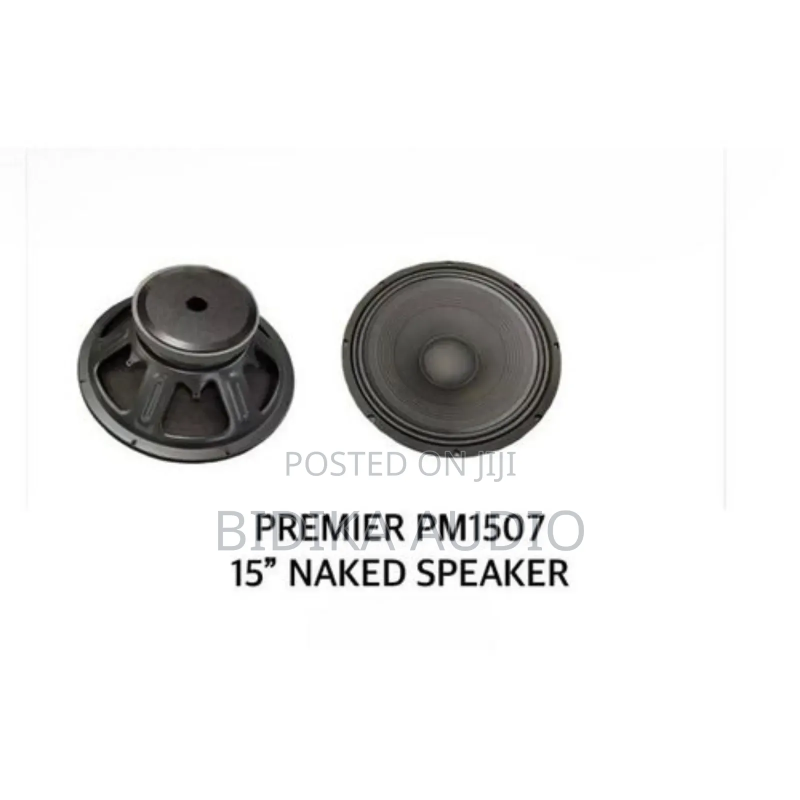 Premier 15 Inch Naked Speaker