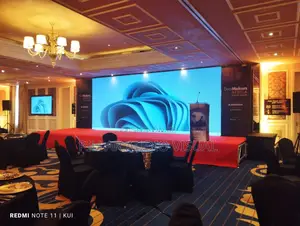 Big Screen for Outdoor Indoor Led Panels, Stage