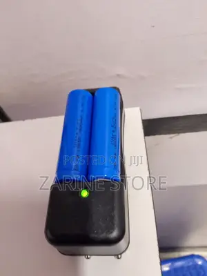Rechargeable Batteries 3.7v Charger With 2 Batteries