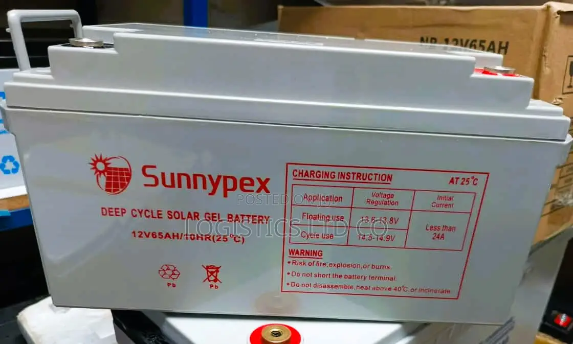 Sunnypex 65ah 12V Deep Cycle Battery