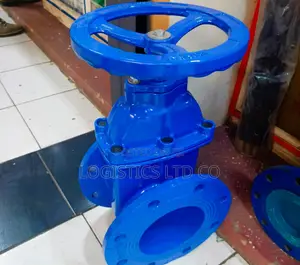 Sluice Valve 6" Inch