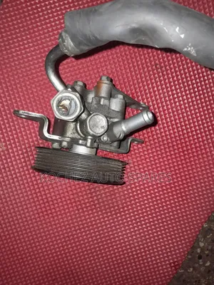 Power Steering Pump for Nissan Murano