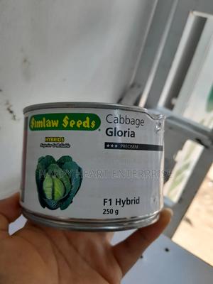 Gloria F1 Cabbage 250gms - main view