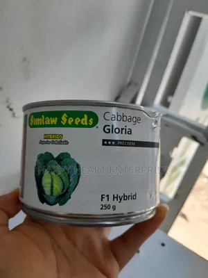Gloria F1 Cabbage 250gms