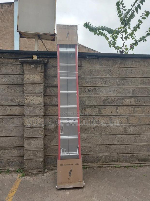 2 by 10 Fibreglass Double Extension Ladder.