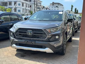 Toyota RAV4 Adventure 2019 Gray