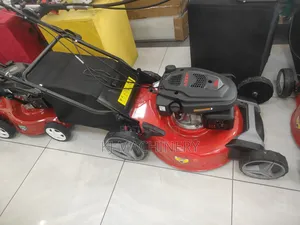 Gasoline Push Lawn Mower 4hp Heavy Duty.