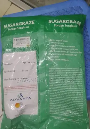 Advanta Sugargraze- Forage Sorghum 1kg
