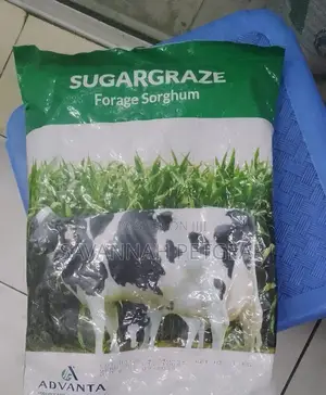 Advanta Sugargraze- Forage Sorghum 1kg