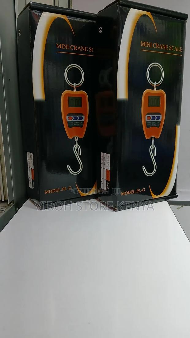 New Arrival Mini Crane Scale 200kgs - main view