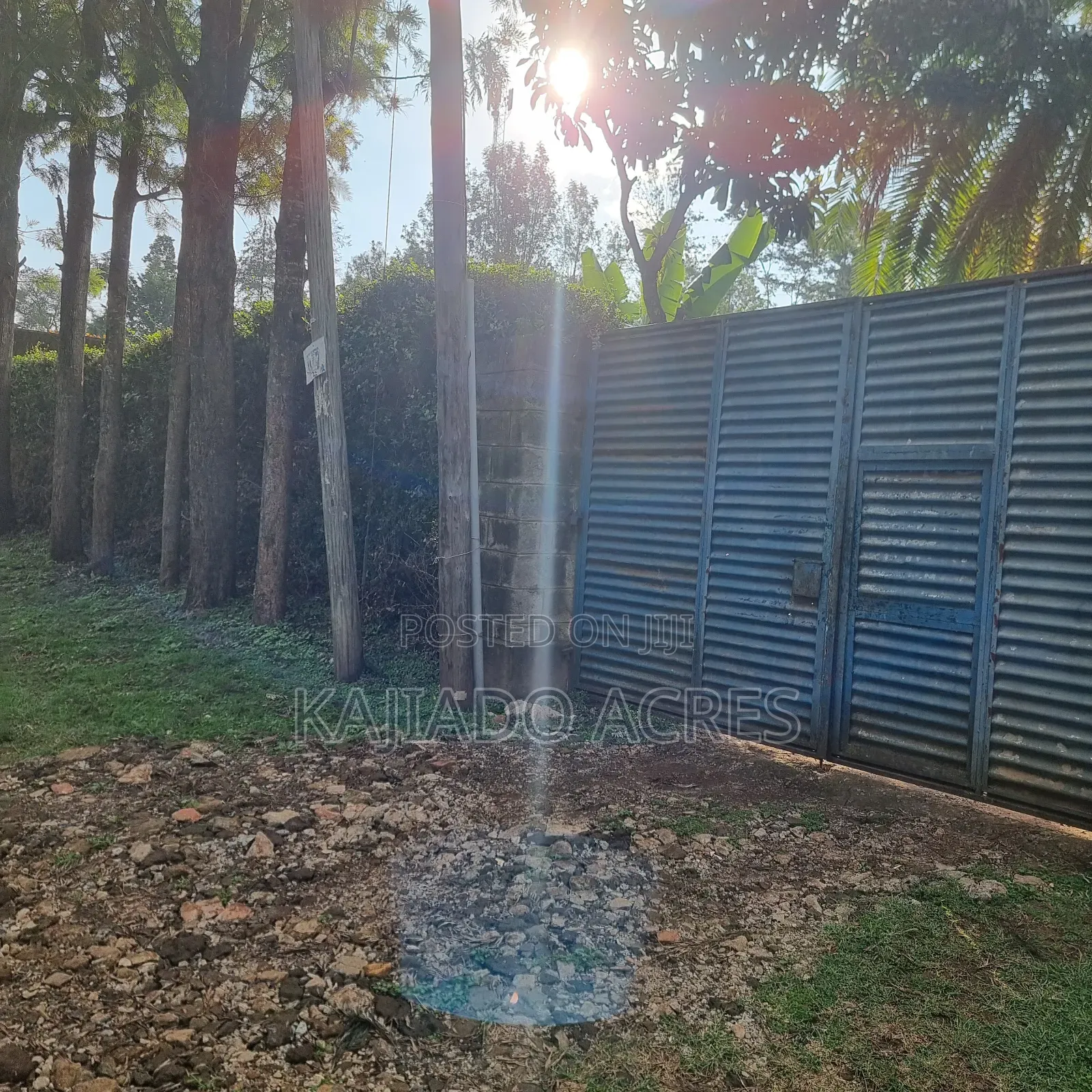 Prime 1/8 Ngong