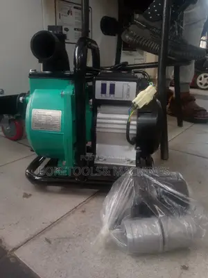 Shiyuan 2" Brushless Water Pump 1100watts