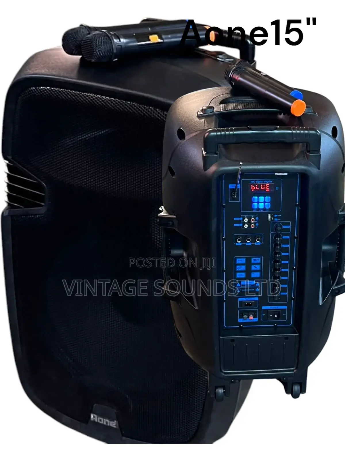 Aone 15" Rechargeable Portable Amplified Speaker W/2mics