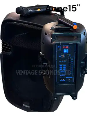 Aone 15" Rechargeable Portable Amplified Speaker W/2mics