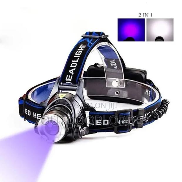 Waterproof Rechargeable White UV Headlamp - main view