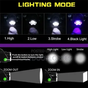 Waterproof Rechargeable White UV Headlamp