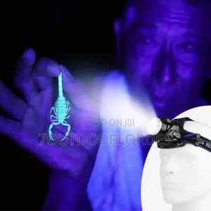 Waterproof Rechargeable White UV Headlamp