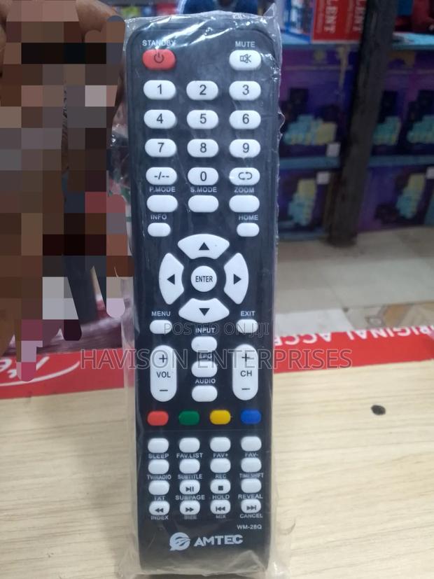 Amtec TV Remote - main view