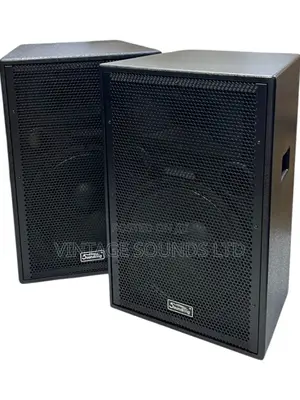 Soundking J215A 15inch Midrange Wooden Speaker