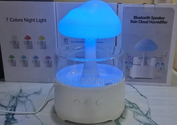 Rain Drops Humidifier With Speaker