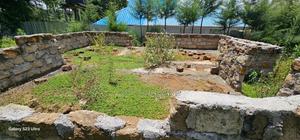 1⁄2 Acre for Sale Kipkenyo Eldoret - thumbnail 2