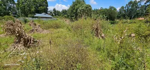 1⁄2 Acre for Sale Kipkenyo Eldoret