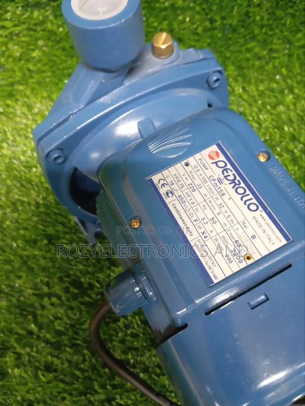 Pedrollo Water Pump 1h - main view