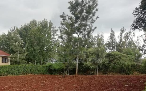 Residential Quarter Acre Plot in Kerarapon. Red Soil - thumbnail 3