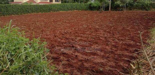 Residential Quarter Acre Plot in Kerarapon. Red Soil - thumbnail 4