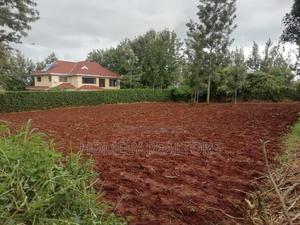 Residential Quarter Acre Plot in Kerarapon. Red Soil - thumbnail 2