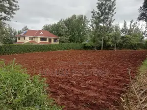 Residential Quarter Acre Plot in Kerarapon. Red Soil