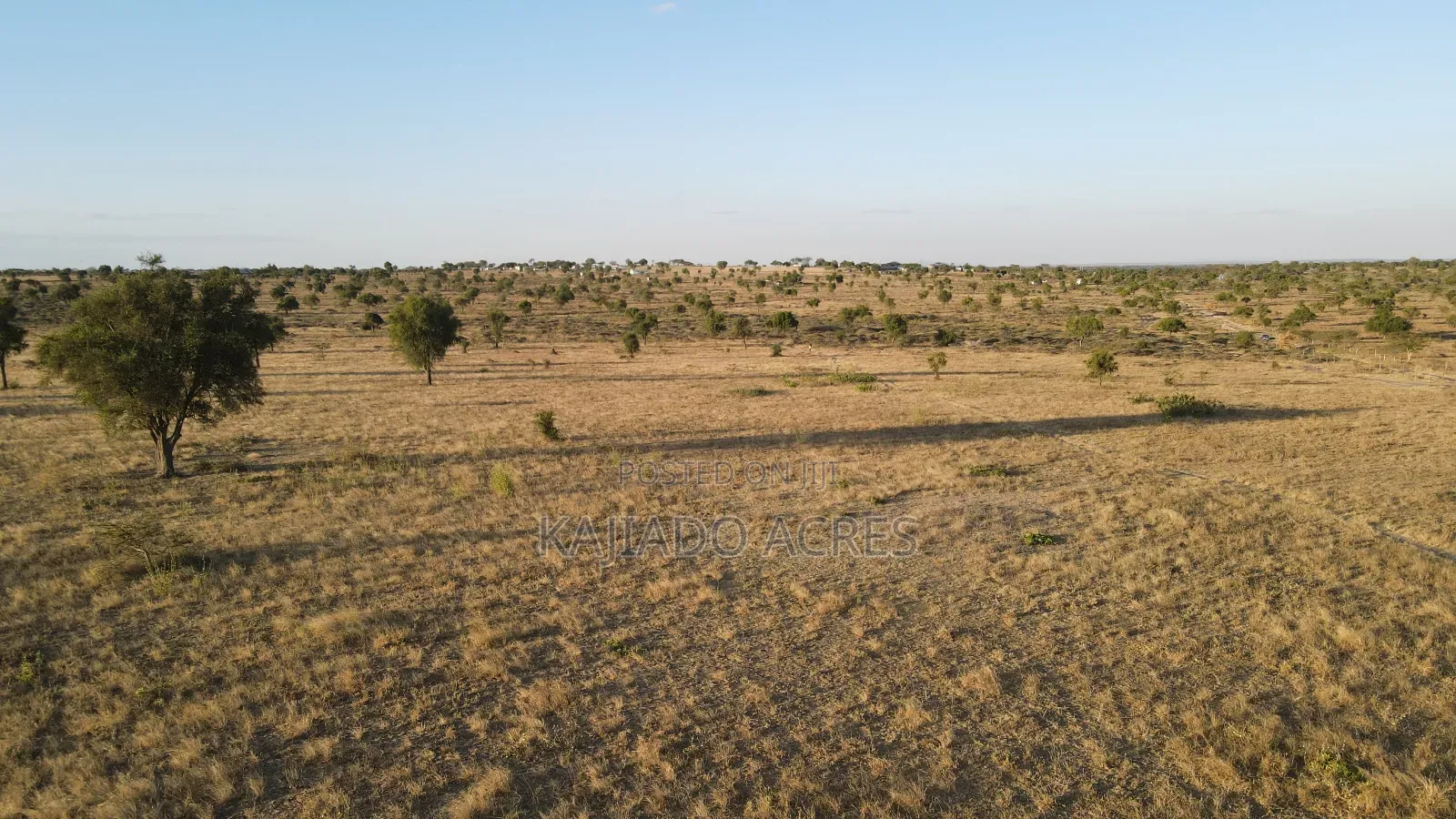 Prime Fenced 38 Acres Sajiloni at 1.5m Per Acre