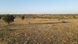 Prime Fenced 38 Acres Sajiloni at 1.5m Per Acre