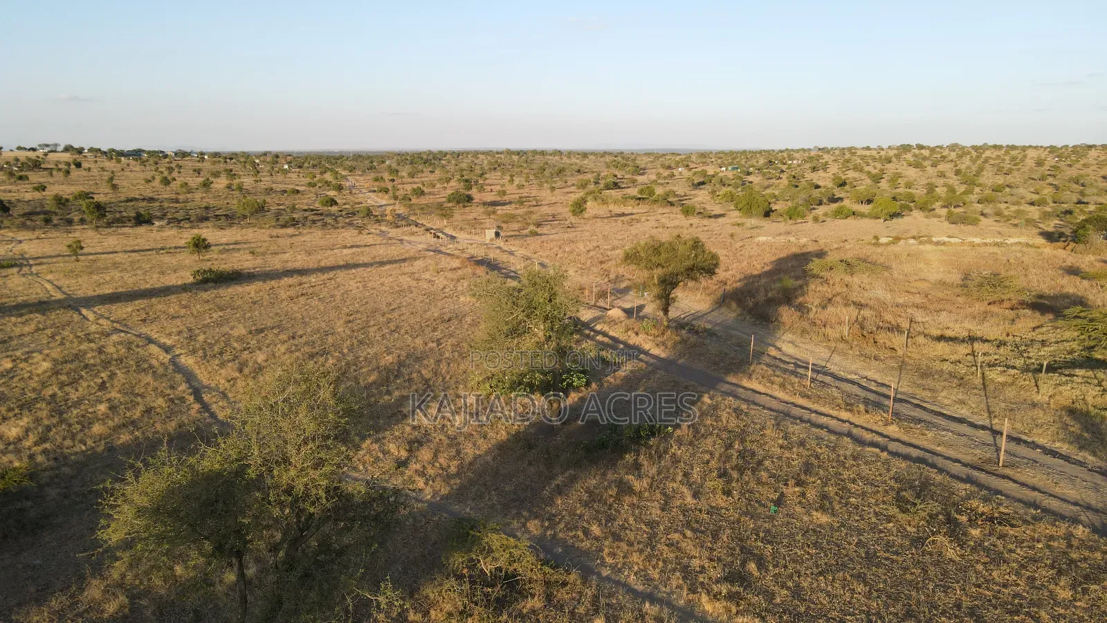 Prime Fenced 38 Acres Sajiloni at 1.5m Per Acre